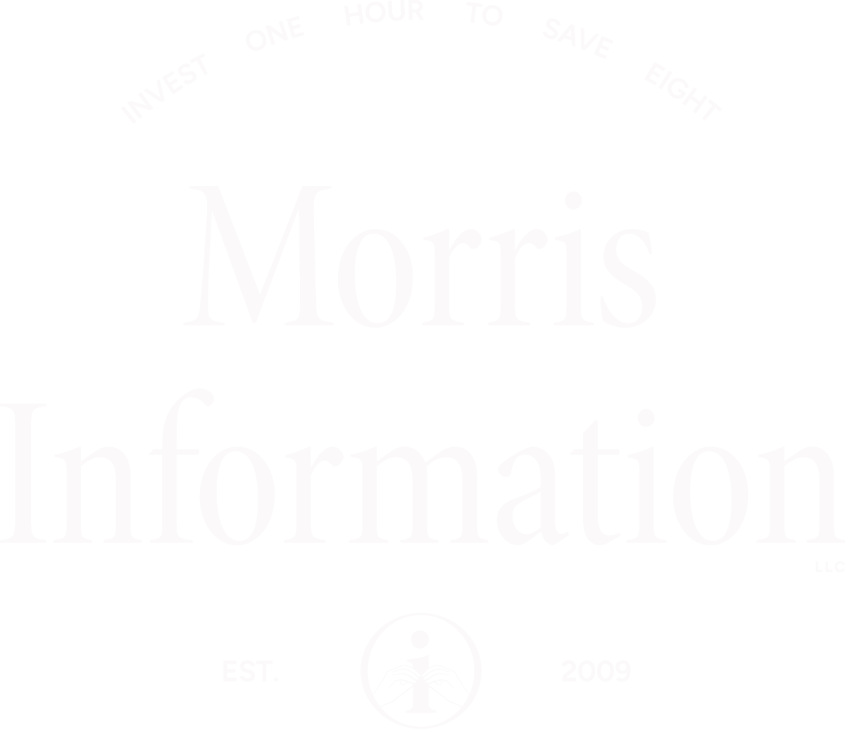 morrinfo-fulllogo-white Morris Information LLC Logo
